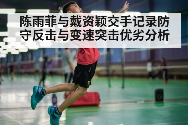 陈雨菲与戴资颖交手记录防守反击与变速突击优劣分析
