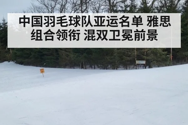 中国羽毛球队亚运名单 雅思组合领衔 混双卫冕前景